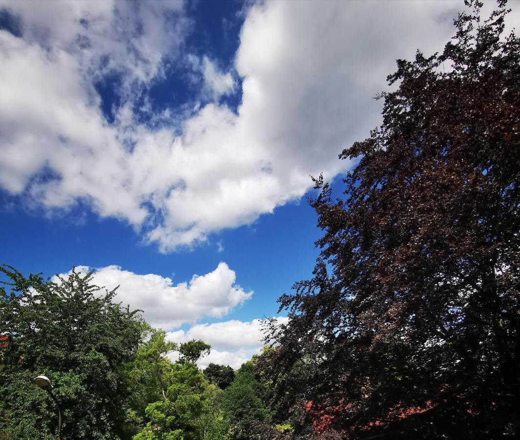 Chillout-Aparts Świeradów-Zdrój Exteriör bild