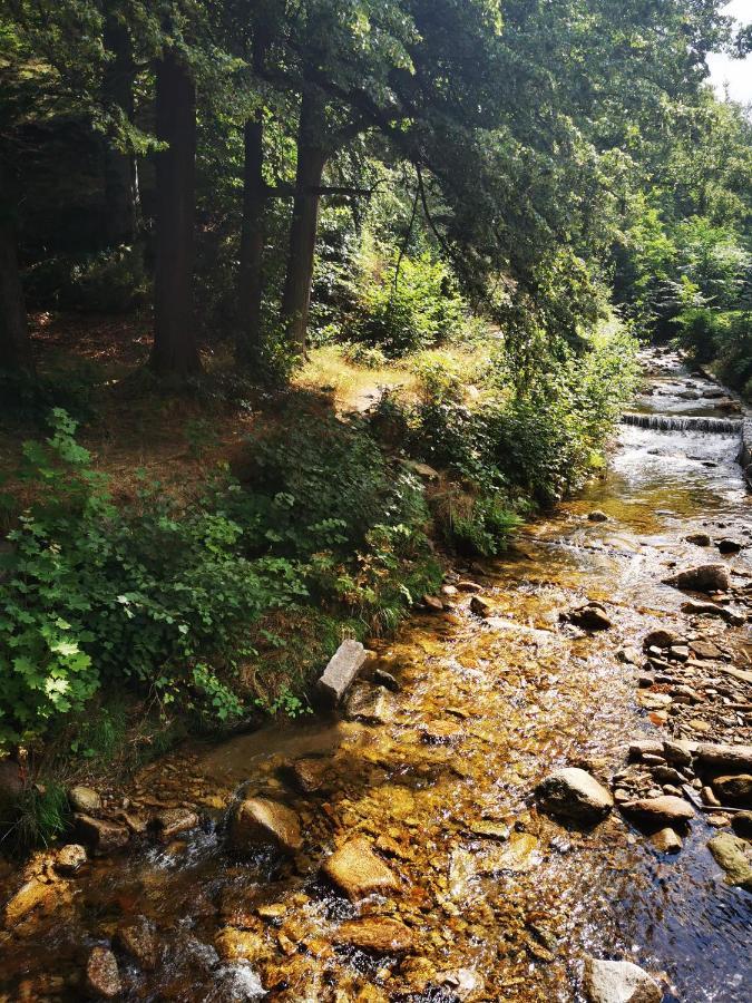 Chillout-Aparts Świeradów-Zdrój Exteriör bild