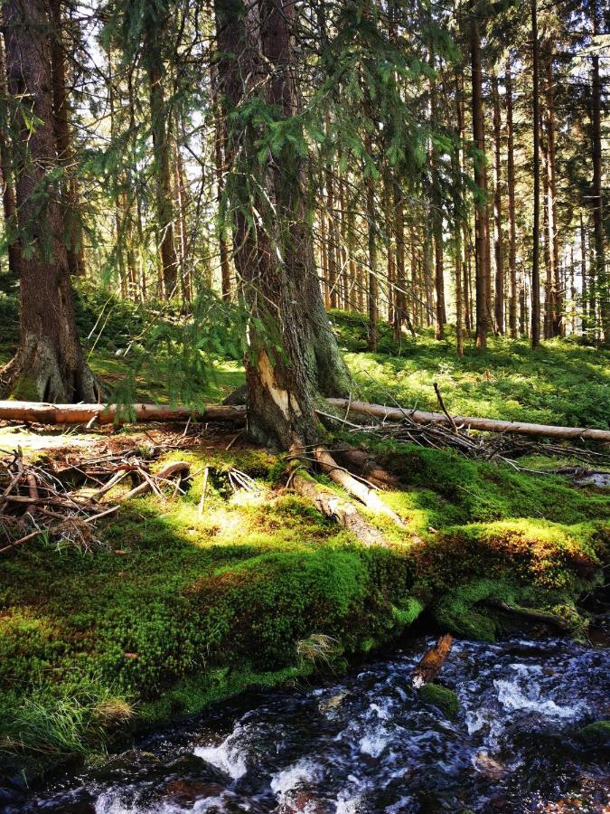 Chillout-Aparts Świeradów-Zdrój Exteriör bild